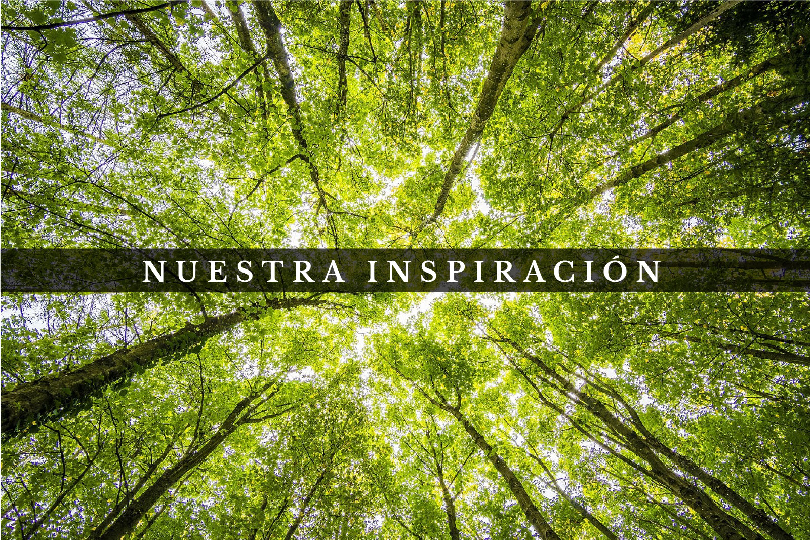 Nuestra inspiración